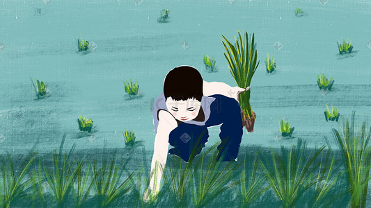 手绘水稻插画图片_乡村工作生活系列之插秧水稻海报背景