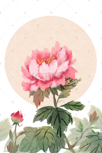 国画风水墨牡丹花