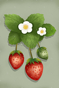 草莓写实手绘风格