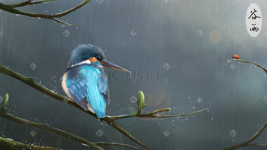 背景谷雨插画图片_谷雨翠鸟雨水下雨春天