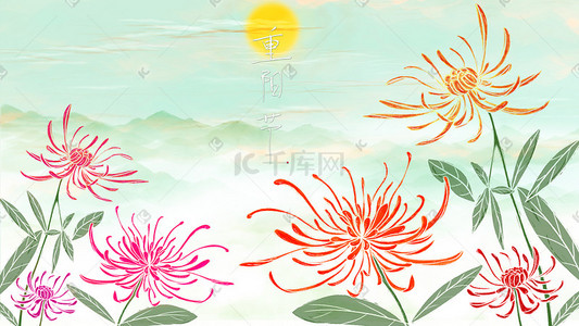 字体的插画图片_重阳节的菊花插画