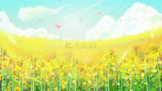 油菜花图鉴插画图片_二十四春分春天油菜花田花海