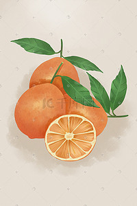 橙橙插画图片_水果橙写实手绘风格