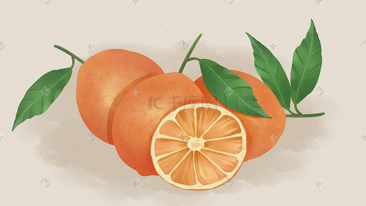 水果橙写实手绘风格