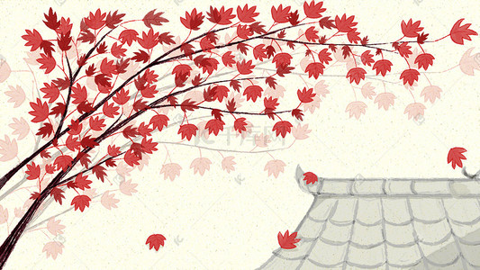 秋分时节屋顶上的枫树红了