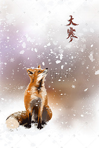 静心插画图片_赤狐静心赏雪过大寒