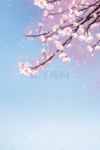 花梅花粉色梅花插画图片_唯美樱花春日赏花