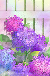紫色的花插画图片_唯美清新的绣球花