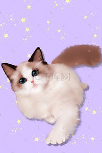 布偶猫猫插画图片_萌宠布偶猫手绘插画