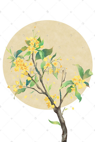 古风花绘水彩手绘桂花