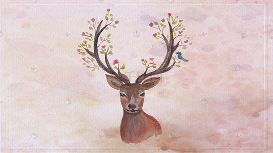 动物之手绘梅花鹿