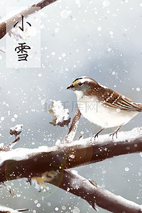 写实宠物插画图片_小雪-麻雀-冬天-小鸟