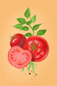 西红柿插画图片_有机蔬菜西红柿番茄