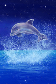 手绘插画发光的海豚