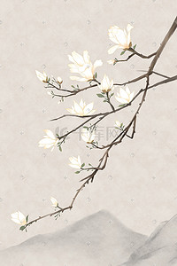 中国古典风插画图片_古风花绘之玉兰花