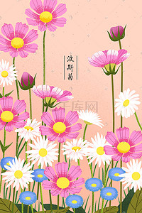 清新叶子植物插画图片_植物花草波斯菊雏菊插画