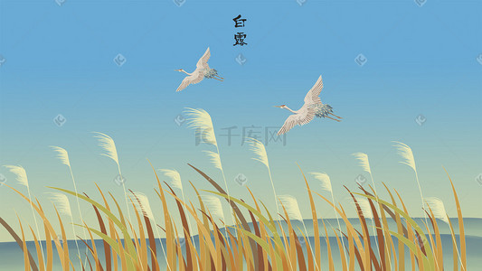 白露节气玄鸟归中国风插画