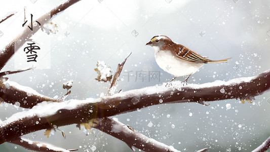 写实宠物插画图片_小雪-麻雀-冬天-小鸟