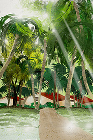 椰林树影度假酒店沙滩风景