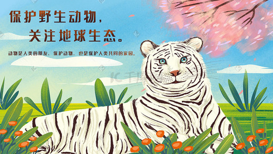 虎耳草属植物手绘插画图片_保护动物之白虎风景