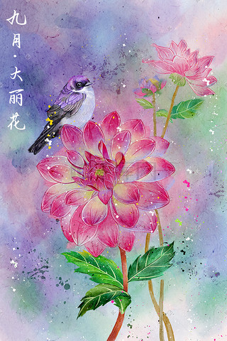 花信插画图片_水彩花鸟十二月花信之九月大丽花