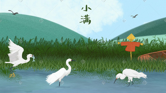 白鹭芦苇插画图片_夏日小满节气蓝绿色水稻芦苇田白鹭抓鱼