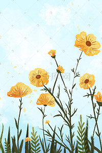 盛开在蓝天下的黄色花朵