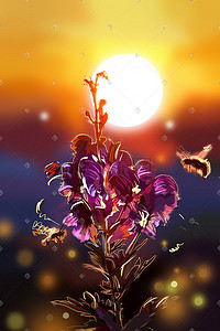 蜜蜂的插画图片_夕阳下的彩色之花