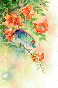 花水彩风插画图片_水彩花鸟画十二月花信之五月石榴花