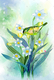 水彩花鸟画十二月花信之十二月水仙花