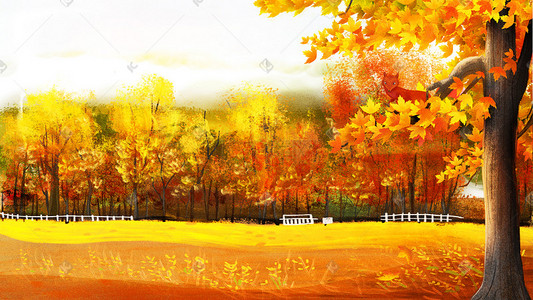 秋季树林风景插画