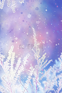 积雪冬天插画图片_冬季冬天冰雪植物大雪