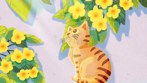春天春景猫咪在花丛下