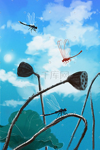 夏季荷塘蜻蜓停落