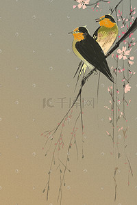 鸟在枝头插画图片_中国风工笔鸟上枝头花开