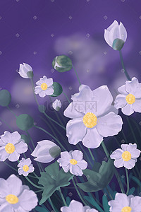 桑桑插画图片_一丛紫色的格桑花繁花