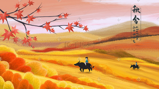 秋季黄叶插画图片_二十四节气秋分山坡放牛