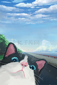 拿自拍杆自拍插画图片_蓝天白云与自拍的猫