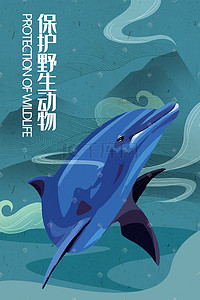 保护野生动物海豚手绘插画