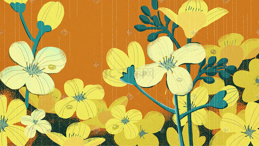 雨滴溅落插画图片_橙色系雨水油菜花黄花花朵雨滴鲜花背景