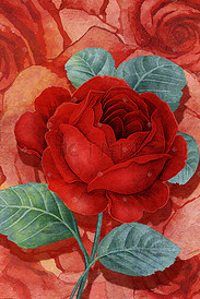浪漫唯美红色系手绘风玫瑰花花丛叶子背景520