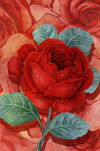 红色散射性光影图案插画图片_浪漫唯美红色系手绘风玫瑰花花丛叶子背景520