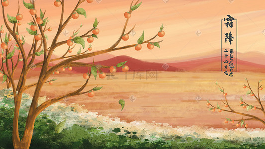 树干插画图片_二十四节气霜降成熟的柿子