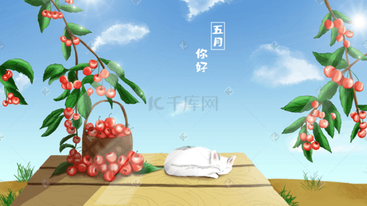 五月你好夏天樱桃猫天空插画