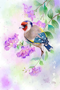 水彩花鸟画十二月花信之六月紫薇花