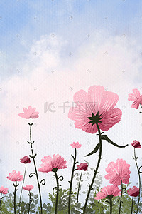 盛开在天空下粉色的花朵