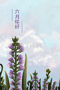 六月你好留白花朵