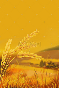 黄色背景插画图片_秋天丰收秋收田野中的水稻稻田粮食黄色背景