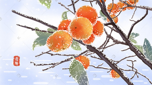 冰柿子插画图片_二十四节气霜降柿子