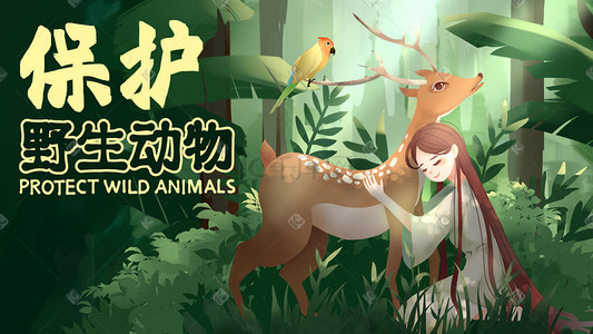 保护动物动物插画图片_保护野生动物自然生态和森林雨林